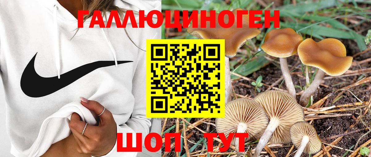Галлюциногенные грибы GOLDEN TEACHER  Вход с VPN  купить наркоту  Барнаул 